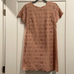 Ann Taylor Tan/Pink Lace Cocktail Dress 6P